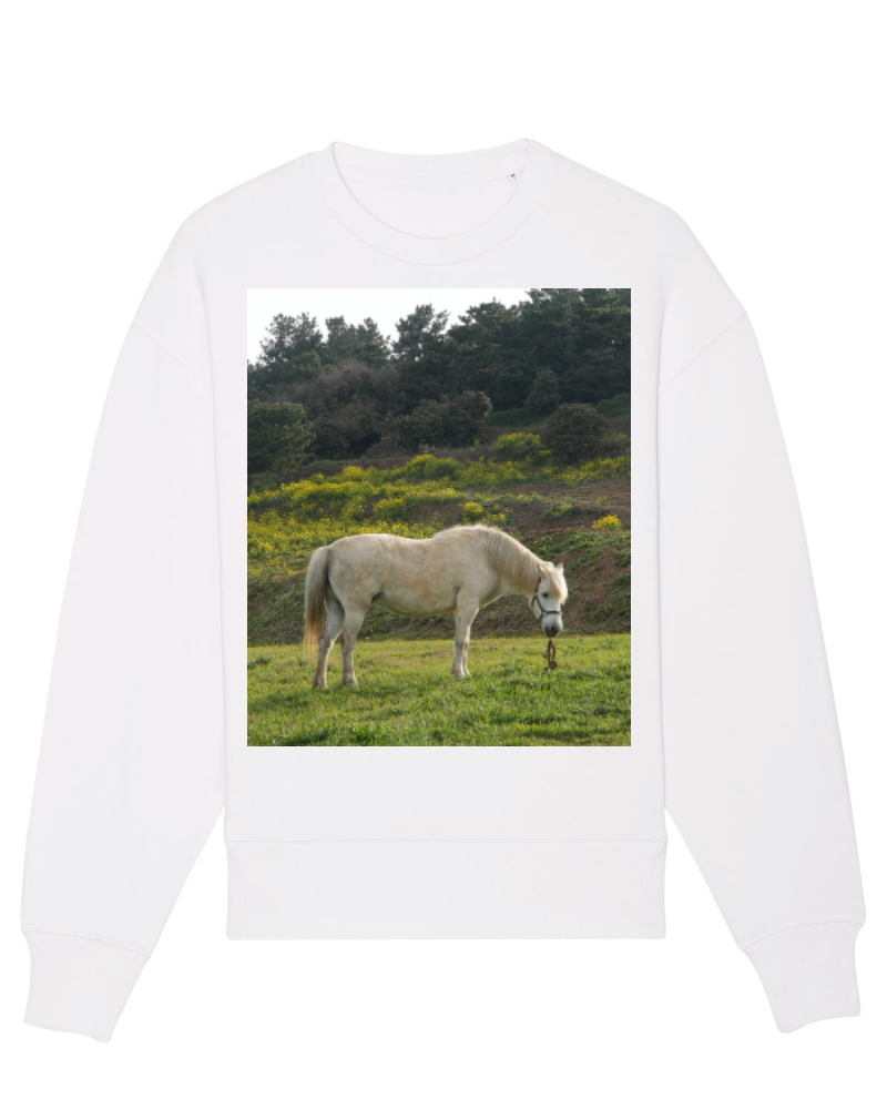 Langarm, Pullover, Grünland, Pferd, Sweatshirt